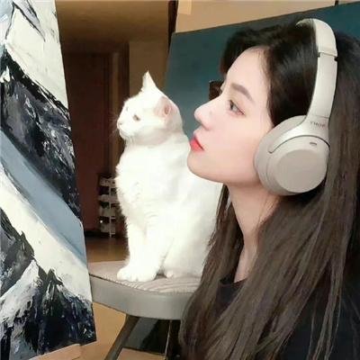 乌龙王与星君仔